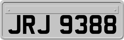 JRJ9388