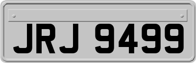 JRJ9499