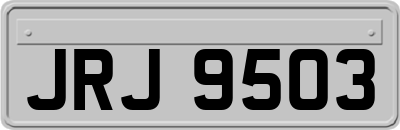 JRJ9503