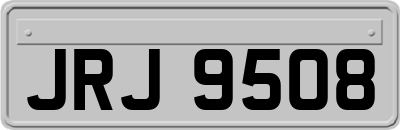 JRJ9508