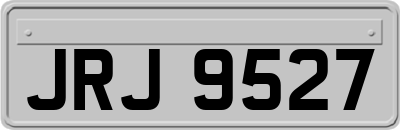 JRJ9527