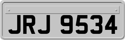 JRJ9534