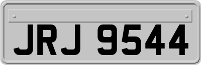 JRJ9544