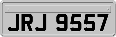 JRJ9557