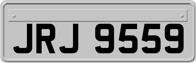 JRJ9559