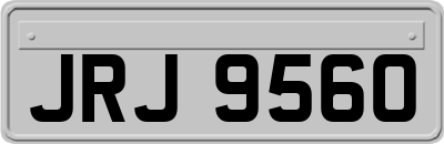 JRJ9560