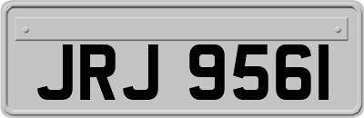 JRJ9561