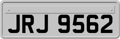 JRJ9562