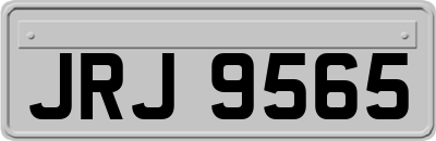 JRJ9565