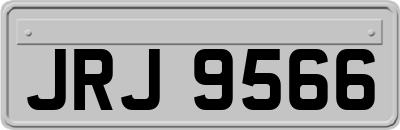 JRJ9566
