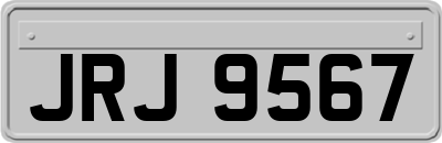 JRJ9567