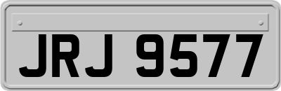 JRJ9577