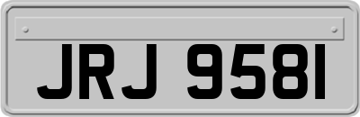 JRJ9581