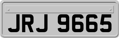 JRJ9665