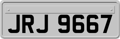 JRJ9667
