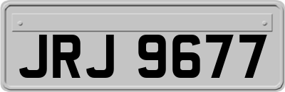 JRJ9677