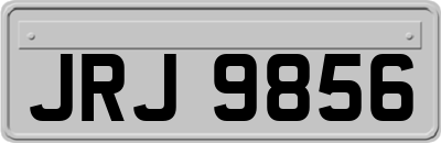 JRJ9856