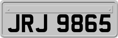 JRJ9865