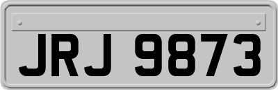 JRJ9873
