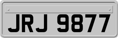 JRJ9877