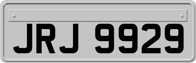 JRJ9929