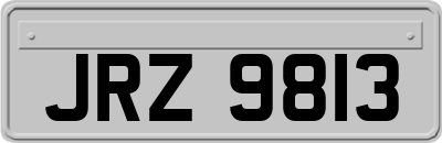 JRZ9813