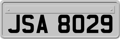 JSA8029