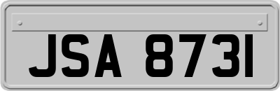 JSA8731