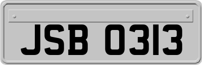 JSB0313