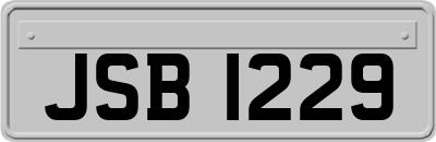 JSB1229