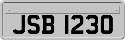 JSB1230