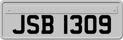 JSB1309