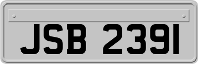 JSB2391