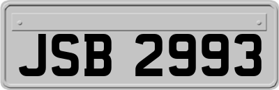 JSB2993