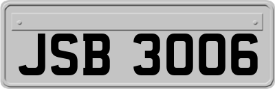 JSB3006