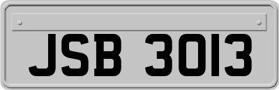 JSB3013
