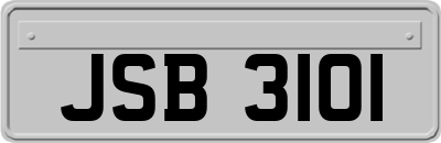 JSB3101