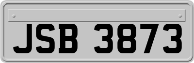 JSB3873