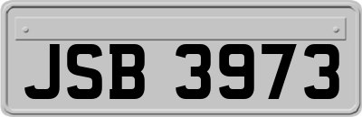 JSB3973