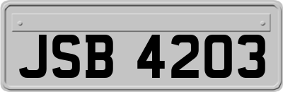 JSB4203