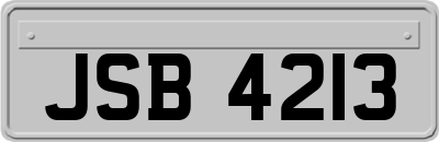 JSB4213