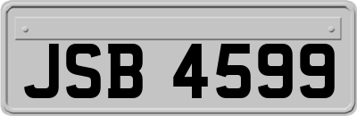 JSB4599