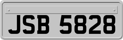 JSB5828