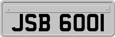 JSB6001