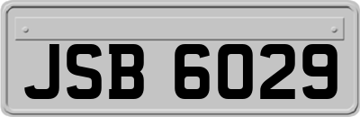 JSB6029