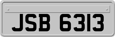 JSB6313