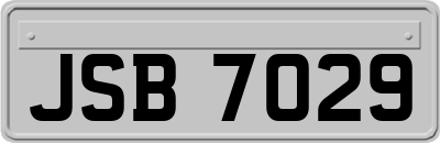 JSB7029