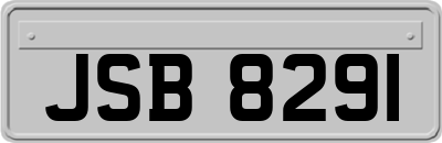 JSB8291