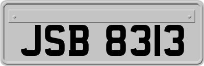JSB8313