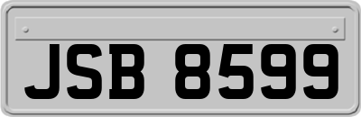 JSB8599